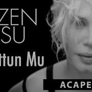 Sezen Aksu Unuttun Mu Beni Acapella Müziksiz Vokal Şarkı Sözleri