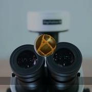 4 Tucsen USB Microscope Camera Demo IScapture Software