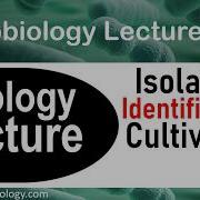 Virus Isolation And Purification Virology Lecture 3