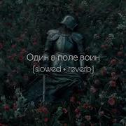 BEARWOLF Один в поле воин Slowed Reverb