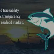 What Is Traceability
