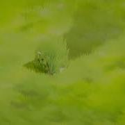 Grass Shader Test