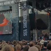 Nile Brutal Assault 22 2017
