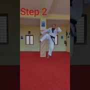 Flying Side Kick Tutorial