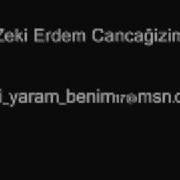 Zeki Erdem Cancaizim Damar Para