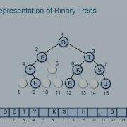 005 Array Representation Of Binary Trees