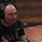 Joe Rogan Equality And Equity Are NOT The Same Thing