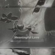 Silo Meaningful Love Instrumental 1 Hour Version