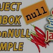 Project Lombok Java NonNull Example Part 9