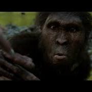 Австролопитек Люси Lucy Australopithecus