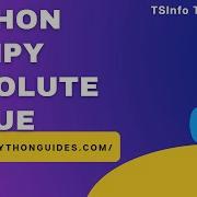 How To Calculate The Absolute Value Of Each Element In NumPy Python Python NumPy Absolute Values