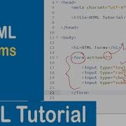 23 Forms In HTML HTML Tutorial