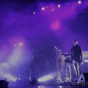 Дельфин Ангелы Dolphin Angels Кубана Kubana