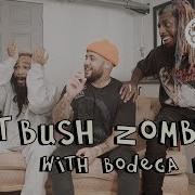 FLATBUSH ZOMBIES X MONTREALITY Interview