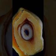 Jackfruit Burning Closeup