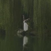 Soft Melodies For Daydreams