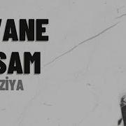 Eşref Ziya Divane Olsam Lyrics Video