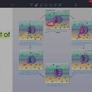 CH3 Cells The Living Units Part 2