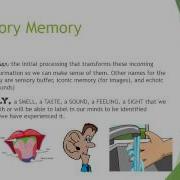 Information Processing ITMA A Patrick