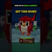 NEW Robin Pet In Grow A Garden 2 GaG2 Growagarden Growagarden2 Gag Highlights Roblox