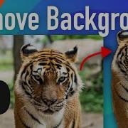 Unleash The Magic Of Python Remove Image Backgrounds With Ease Using Rembg
