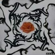 Red Hot Chili Peppers I Could Have Lied