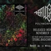 THE ALGORITHM Access Granted Official HD Audio Basick Records