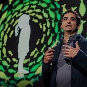 Four Billion Years Of Evolution In Six Minutes Prosanta Chakrabarty