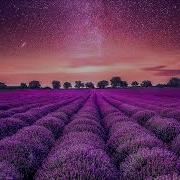 Summer Never Ends 337 Progressive House Mix The Voyage Into Ether Edition