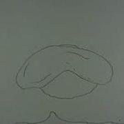 Animation 1 Morph Project 1