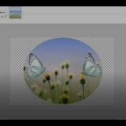 Crop Circle In 3 Clicks Using Paint Net