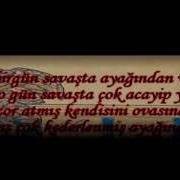 Ahmet Şafak Timur Ile Karınca