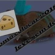 COMO COLOCAR RATO LEVE AGIL 2018 ACTUALIZADO