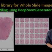 266 Openslide Library For Whole Slide Images