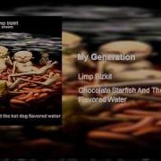 Limp Bizkit My Generation Clean