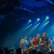 Shelter Appreciation 9 8 2018 Live In Berlin