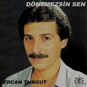 Dönemezsin