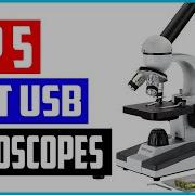 Top 5 Best USB Microscopes In 2022