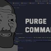RAW Making A Discord Py Purge Command