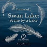 Swan Lake Op 20 Scene By A Lake