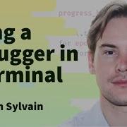Using A Debugger In A Terminal