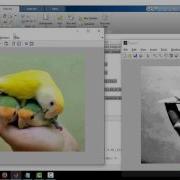 Image Pre Processing Using Matlab