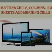 XI CA Hum Chapter3 Data Processing With Spreadsheet Part3 GMBHSS Thycaud Shini Jane