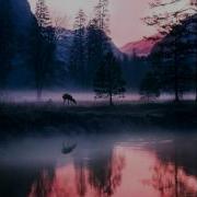 Encode The Fog Of Love