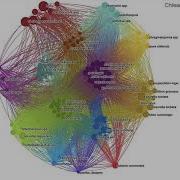 Lessons That Organizations And Institutions Can Learn From Nature Eric Berlow At The Interval