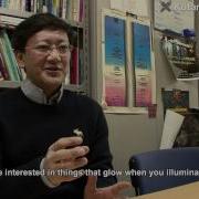 Understanding Temporal And Spatial Changes In Complex Biological Phenomena Through Imaging Methods