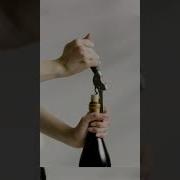 OXO Steel Double Lever Waiter S Corkscrew