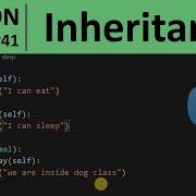 Python Tutorial 41 Inheritance In Python Programming For Beginners
