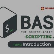 1 Bash Scripting Introduction Creating Bash Scripts And Making Them Executable