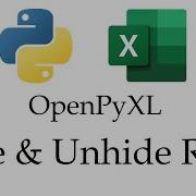Excel Row Control Hiding Rows Automatically With Openpyxl